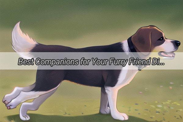 Best Companions for Your Furry Friend Discover the Perfect Matches for Your Dogs BFF